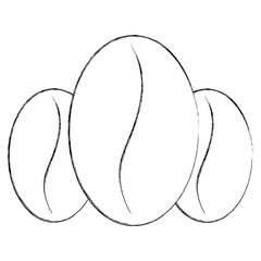 coffee beans aroma fresh image vector illustration sketch