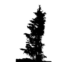 Tree Silhouette Isolated on White Backgorund. Vecrtor Illustration