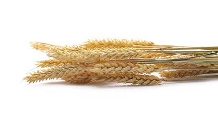 Dry wheat ears, grain isolated on white, with clipping path