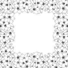 Sakura Cherry Blossom Flower Outline Border