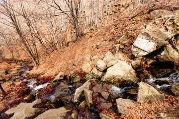 Capo d'Arno - sorgenti