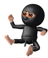 Vector 3d Ninja kick © Steve Young