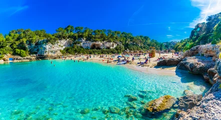 Poster Panoramisch uitzicht op het strand van Cala Llombards met turkoois schoon water op de Balearen van Mallorca in Spanje © cristianbalate