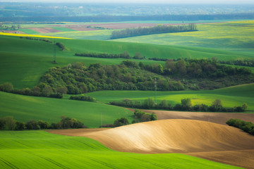 Moravian fields at spring near Strazovice, Czech Republic