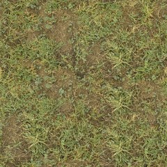 A seamless soil Texture for Backgrounds and Materials