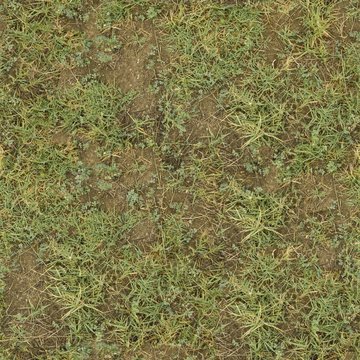 A seamless soil Texture for Backgrounds and Materials