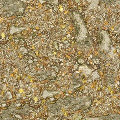 A seamless soil Texture for Backgrounds and Materials