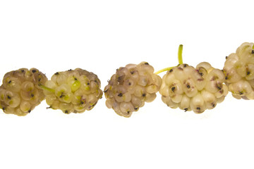 mulberry isolated on white background