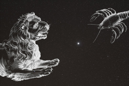 The Seine and Marne. Close-up on the constellations of the Lion and Cancer. In the center the Jupiter planet gleams. The Lion and Cancer seem to want to fight for Jupiter.