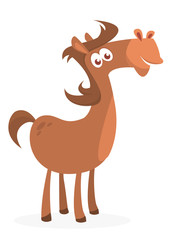 Illustration of a funny cartoon horse. Vector illustrated