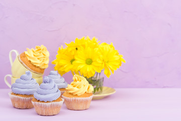 Cupcakes decorated with yellow and violet cream and chrysanthemums on violet pastel background for greeting card with copyscape.