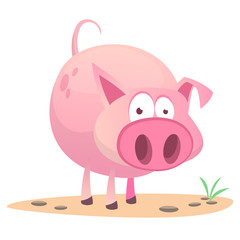 Fototapeta premium Vector illustration of cute pig cartoon isolated on white background. Design forstickers, print or children book