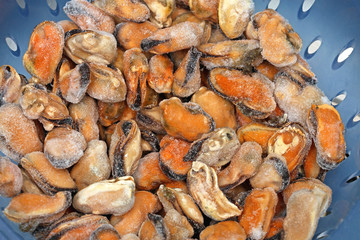 Frozen Mussels Shells