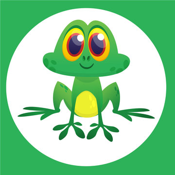 Cute Frog Cartoon Character. Vector illustration isolated. Frog icon design for sticker, print decoration o children book illustration