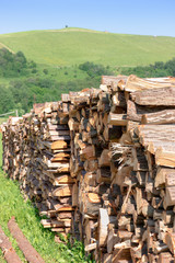 A large pile of dry trees prepared for smoking in the fireplace