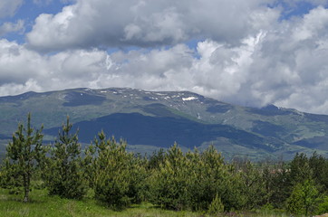 Fototapeta premium Springtime scene with mountain glade, forest and residential district of bulgarian village Plana, Plana mountain, Bulgaria 