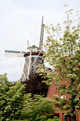 Historic Windmill "De Ster"in Winsum Friesland © Joop Hoek