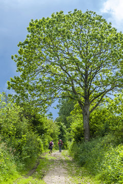 France, Brittany, Finistere, Locronan, two women hiking on a sunken path (GR 38) in a forest
