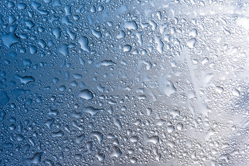 Morning dew on the glass