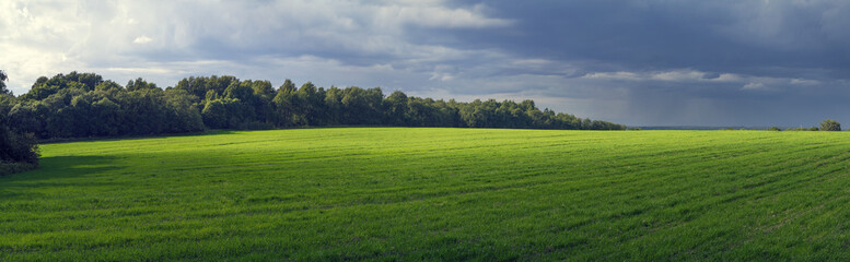 Rural panoramic landscape with sun-lit fielda field, before a thunder-storm.