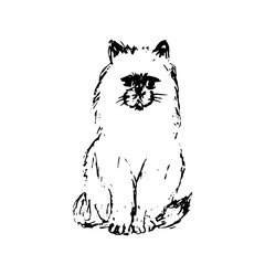 Hand drawn sketch of cat. Black line drawing isolated on white background. Fluffy little pet. Cute furry sitting kitten. Vector animal illustration.
