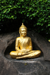 Buddha statue on Rocks with Leaves  Background