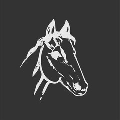 Hand drawn sketch of horse head. White line drawing isolated on dark gray background. Mustang portrait. Vector animal illustration. Chalk board imitation.