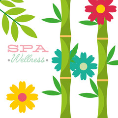 organic flowers herbal bamboo spa wellness vector illustration