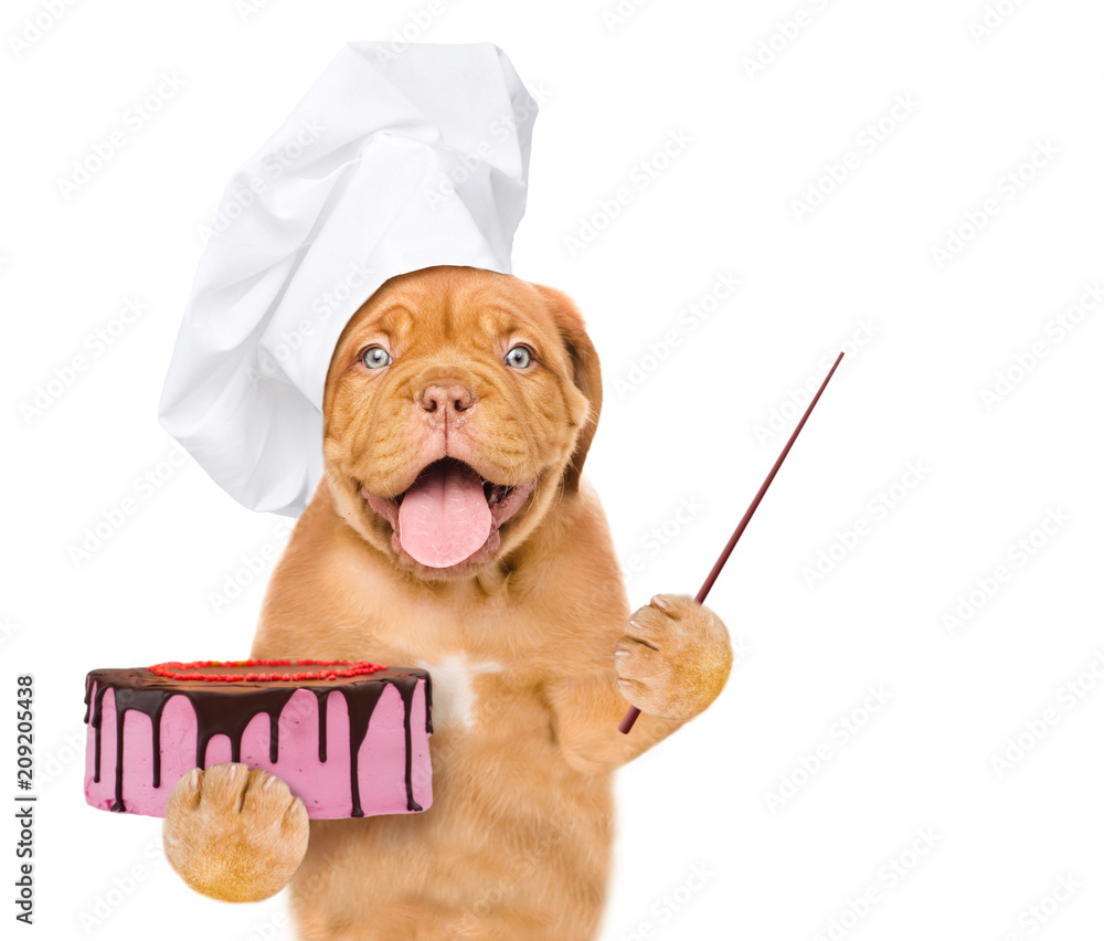 Poster Funny puppy in chef's hat holds cake and pointing away on empty space. isolated on white background