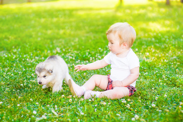 Baby girl playing on the grass with puppy in the summer park