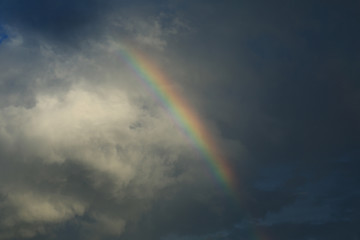 Fototapeta premium Rainbow