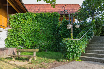 Bench, stairs, texture of brick wall and leaves.