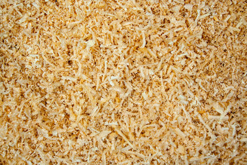 Sawdust texture