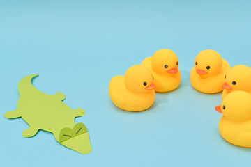 Challenge concept, rubber ducks are facing crocodile.