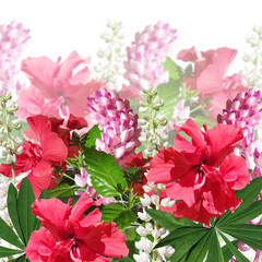 Beautiful floral background of Chinese roses and lupins 