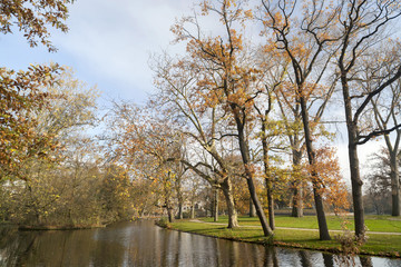 Autumn day in Vondelpark, Amsterdam.