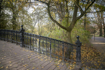 Autumn day in Vondelpark, Amsterdam.