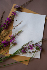 Sheet of paper and wild flowers. A sheet for the text. Purple flowers on the table. Envelope for sheet.