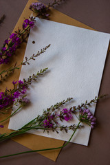 Sheet of paper and wild flowers. A sheet for the text. Purple flowers on the table. Envelope for sheet.