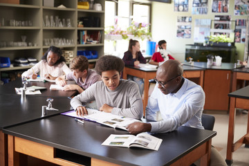 High School Tutor Sitting At Desk With Male Student In Biology Class