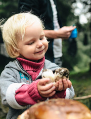 Naklejka premium happy child girl picking wild mushrooms on the walk in summer or autumn forest