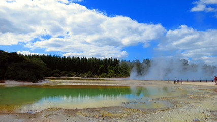 Geyser in Rotorua