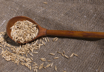 oat grain, wooden spoon, canvas fabric