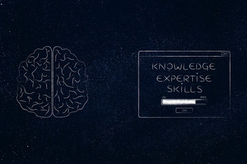 brain next to knowledge expertise skills loading pop-up message