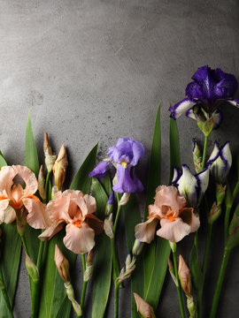 Natural background with iris flowers