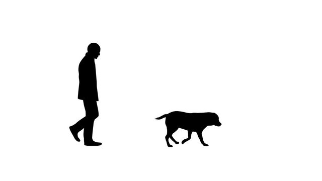 Man walking with dog (labrador), animation