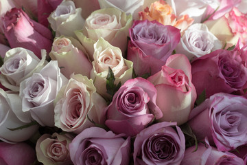 Bouquet of roses delicate pastel shades background