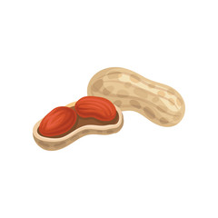 Flat vector icon of whole and peeled peanuts. Natural and tasty food. Organic product. Graphic element for healthy eating infographic