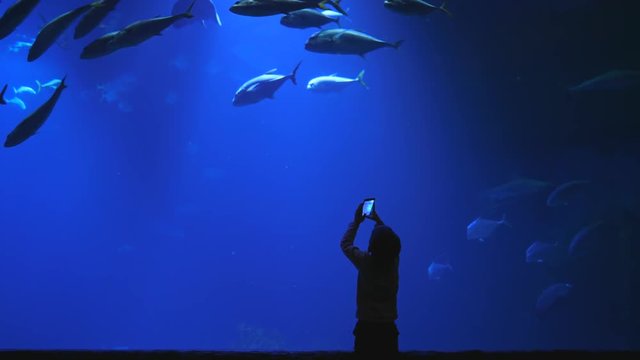 little boy takes photos of a large aquarium with lots of fish on a modern mobile phone