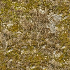 A Seamless Texture for natural backgrounds and materials